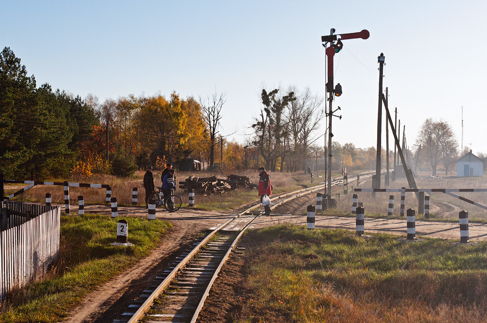 "Сім чудес Рівненщини": історична вузькоколійка на Поліссі, яка може скоро зникнути