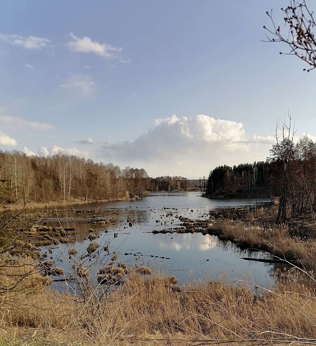 Каскади озер та весняні пейзажі: найкращі локації для пікніку поруч із Києвом