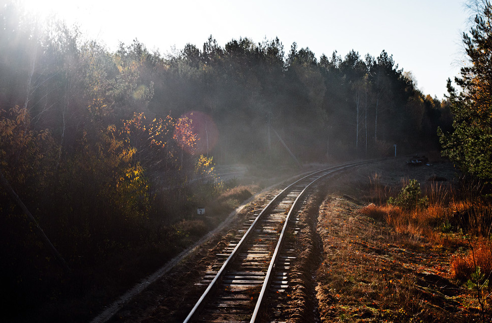 "Сім чудес Рівненщини": історична вузькоколійка на Поліссі, яка може скоро зникнути