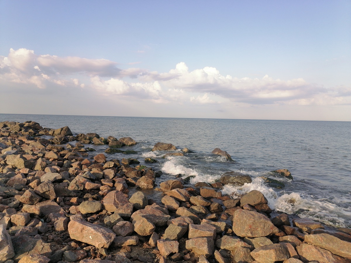 Заповедные зоны и дельфины у берегов: пляжи Бердянска, о которых не пишут в путеводителях