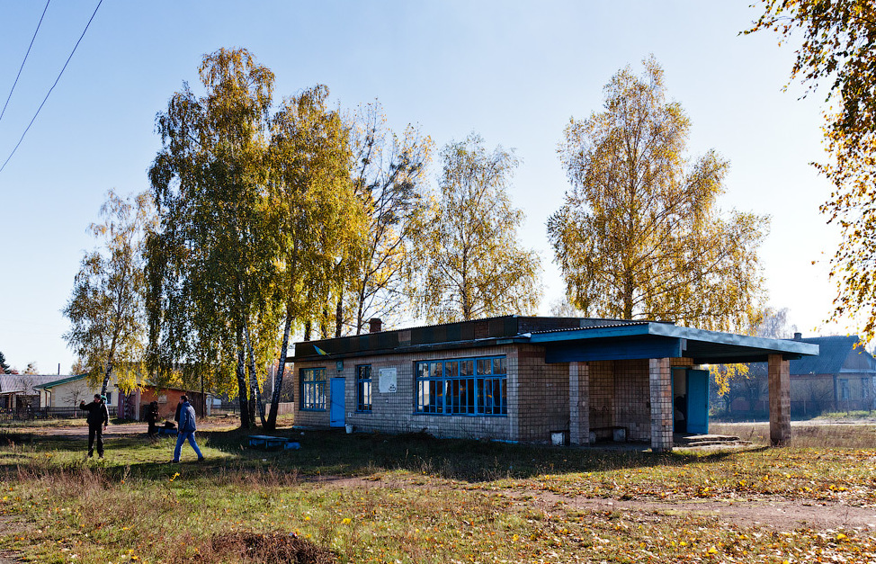 "Сім чудес Рівненщини": історична вузькоколійка на Поліссі, яка може скоро зникнути