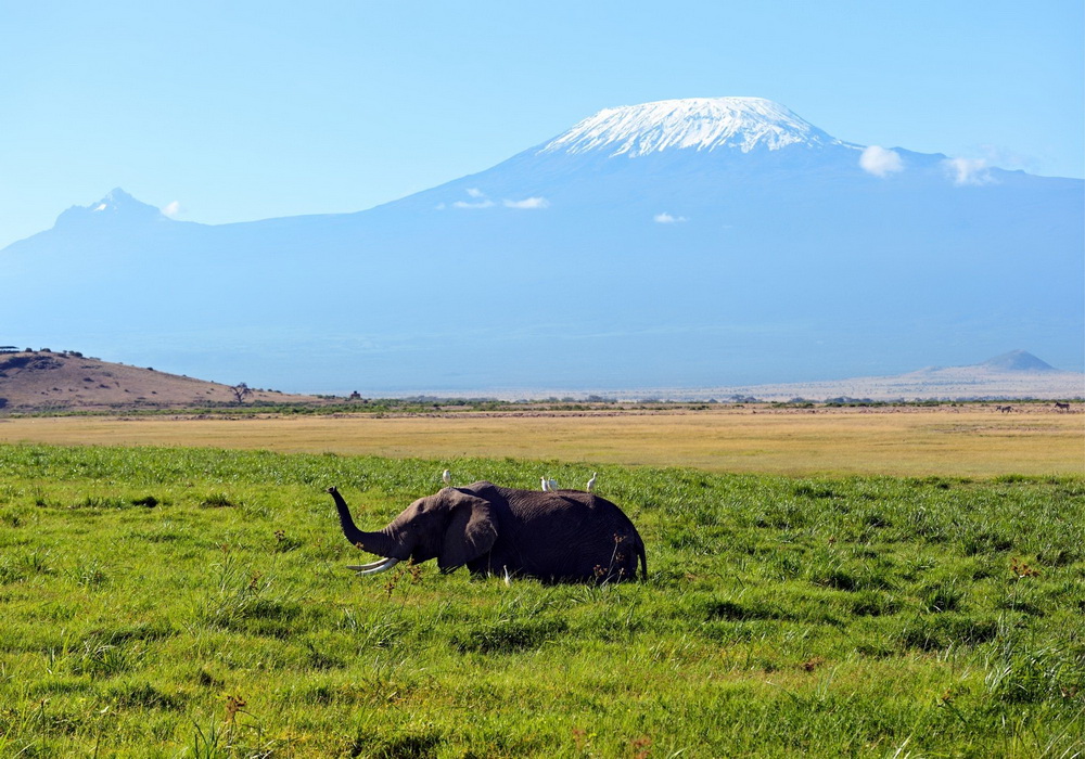 Заповідні парки та європейська культура: Африка, яку не показують туристам