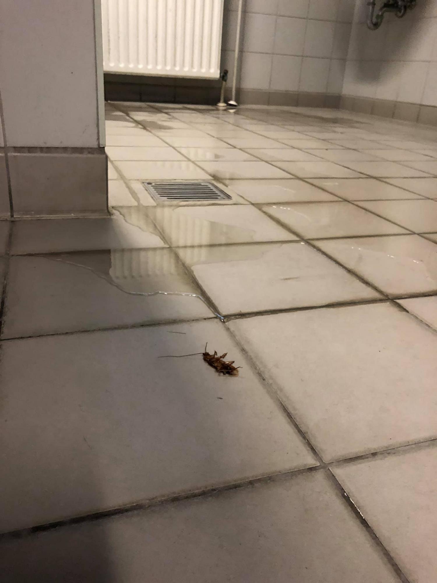 Ніч в ізоляторі: чому українських туристів не пускають до Греції