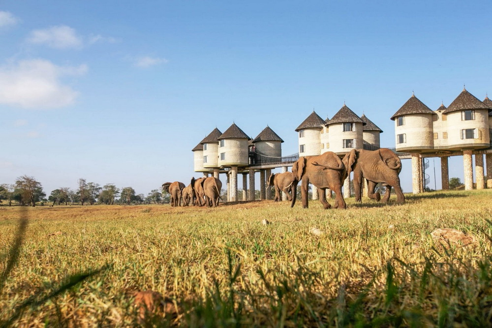 Заповідні парки та європейська культура: Африка, яку не показують туристам