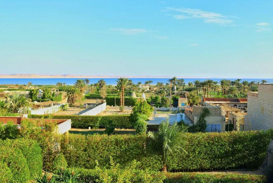 Цены, погода и сервис: стоит ли ехать на отдых в Египет в мае