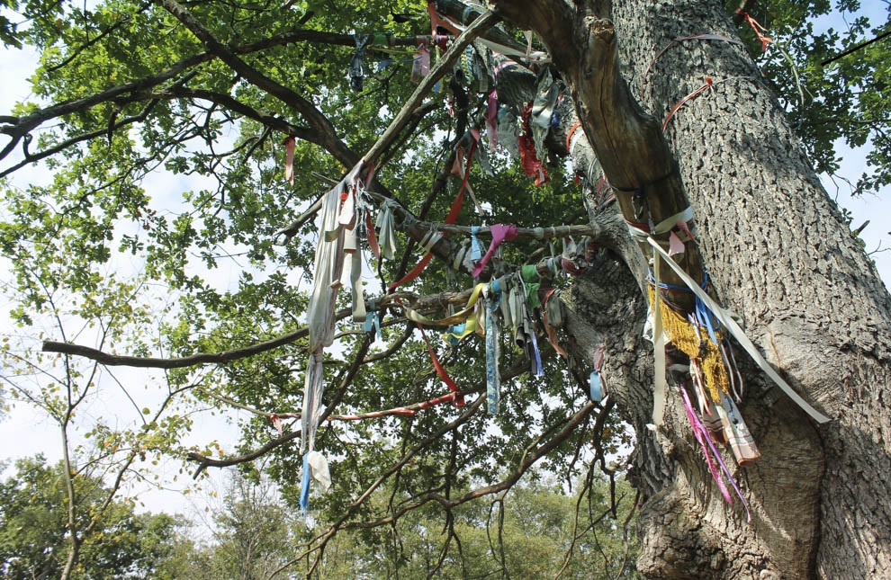 "Воронцовское чудо" и объекты Городецкого: село на Черкасщине удивляет туристов необычными локациями