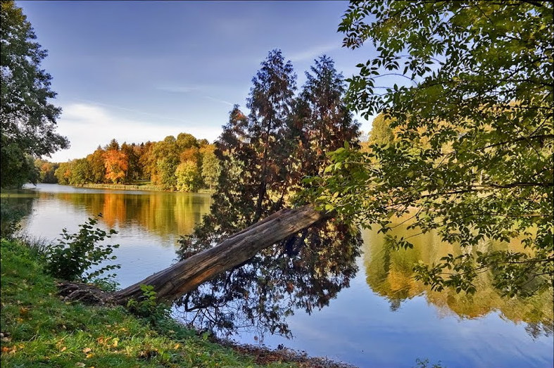Дворцы и усадьбы, удивляющие красотой: лучшие локации Черниговщины для увлекательного уикенда