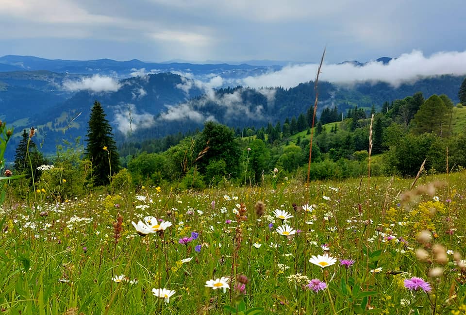 Пейзажи с обложки журнала: лучшие локации Карпат, где стоит провести уикенд в окружении гор