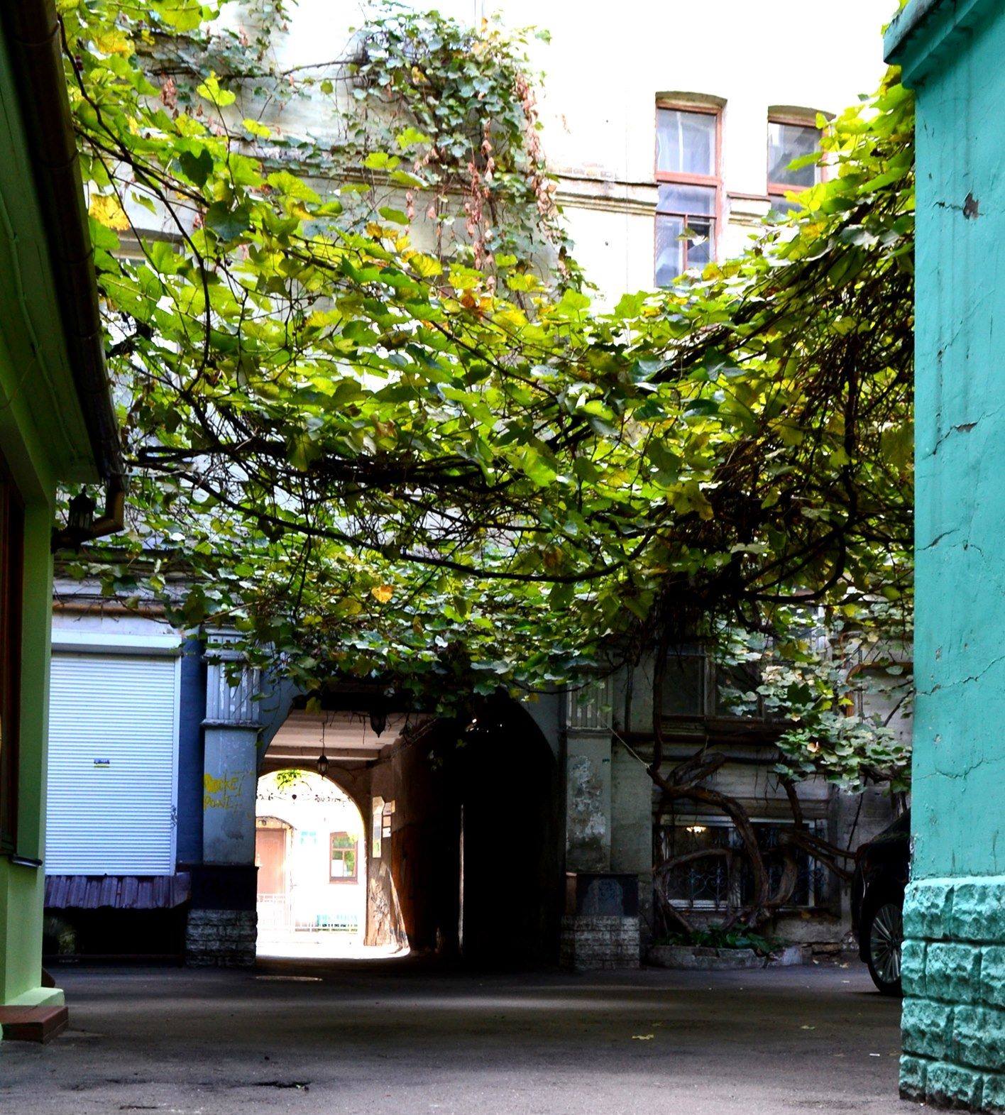 &quot;Секретные&quot; локации, о которых не знают туристы: интересные места Киева для прогулки на уикенд