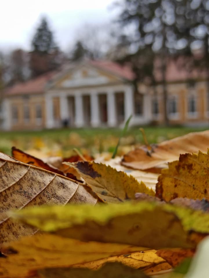 &quot;Український Версаль&quot;: незвичайна локація Поділля для подорожі на вікенд