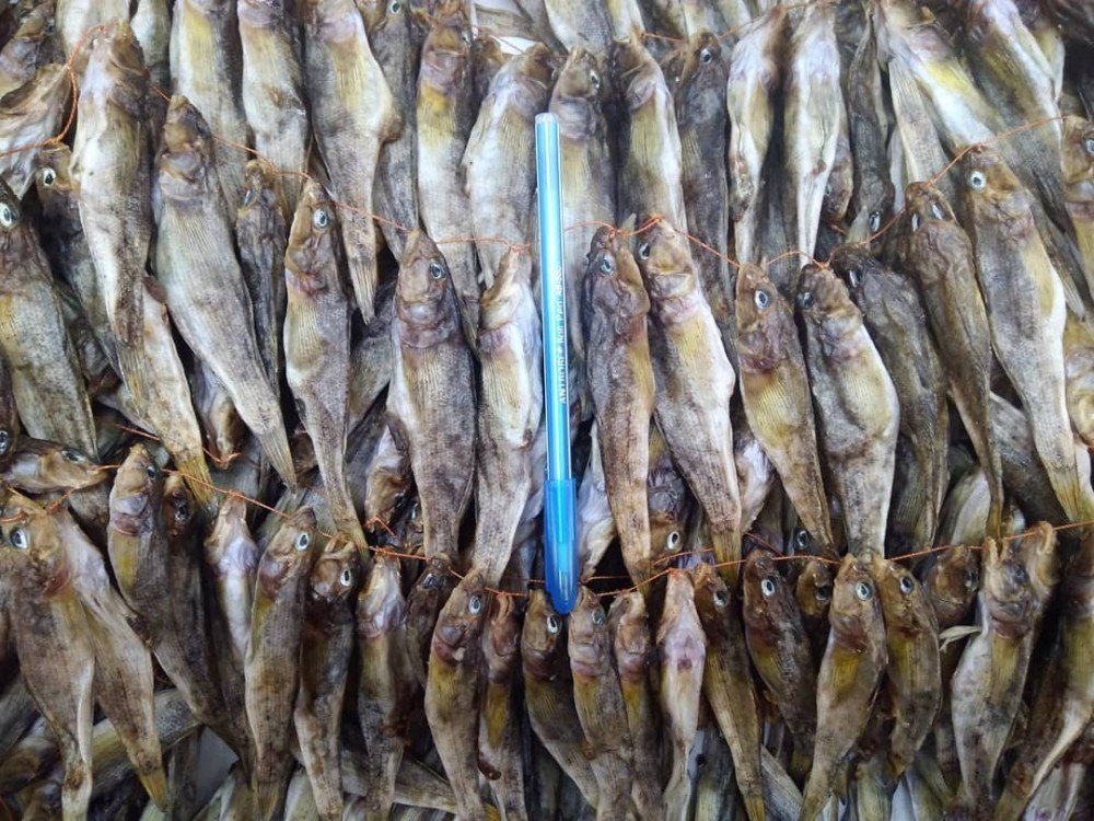 Идеальное время для гастротуризма: почему стоит поехать на Азовское море в межсезонье