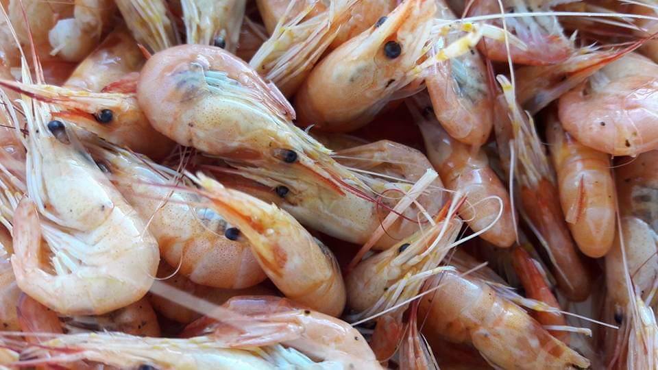 Идеальное время для гастротуризма: почему стоит поехать на Азовское море в межсезонье