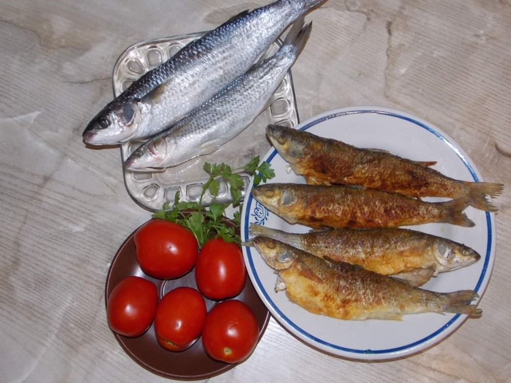 Идеальное время для гастротуризма: почему стоит поехать на Азовское море в межсезонье