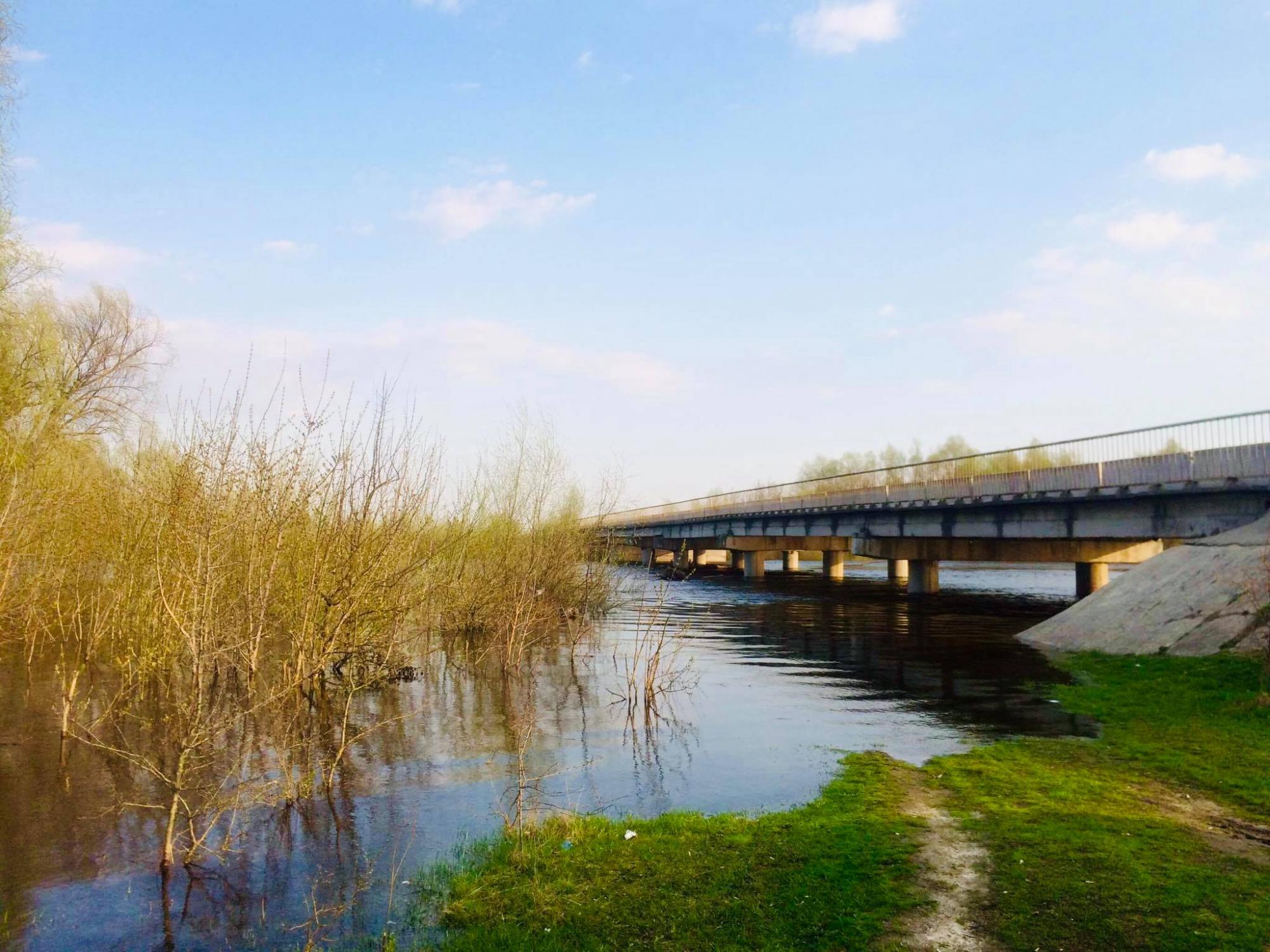 Видовищне явище: чому варто поїхати у мандрівку на Чернігівщину в квітні
