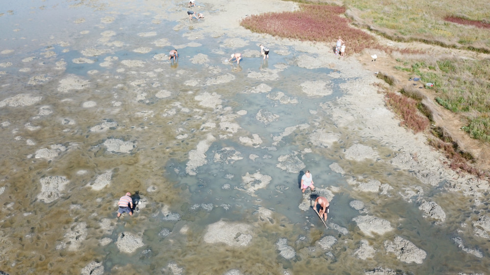 Соляные озера и уникальная экосистема: интересные факты о заливе Сиваш на Приазовье