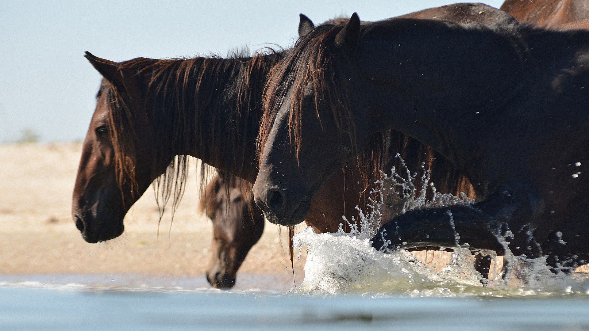 Красивейшие закаты: уютное место на Черном море, где всегда мало туристов