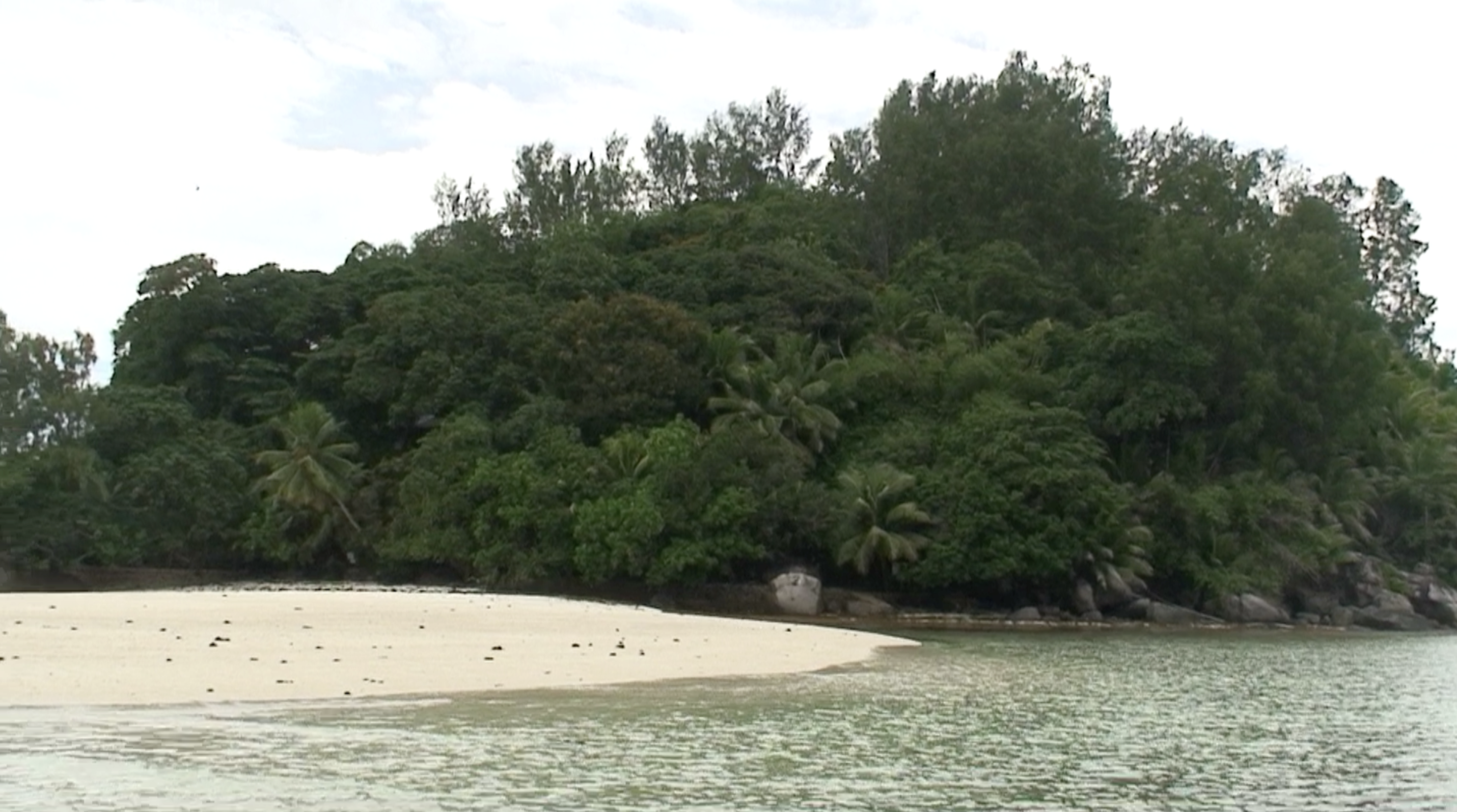 Осуществить мечту: как путешественник за бесценок купил живописный остров на Сейшелах