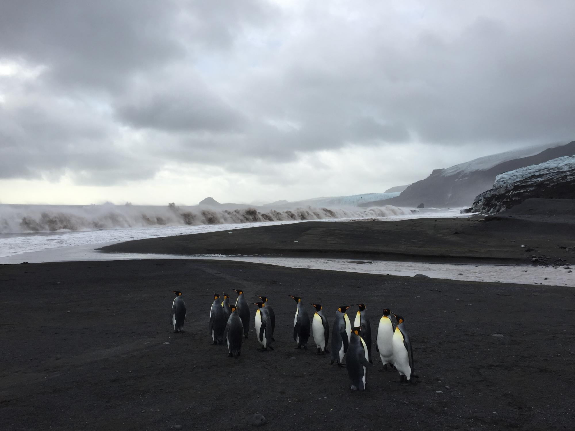 &quot;Пронизливий холод&quot;: як я жив на дикому острові під вулканом та льодовиками