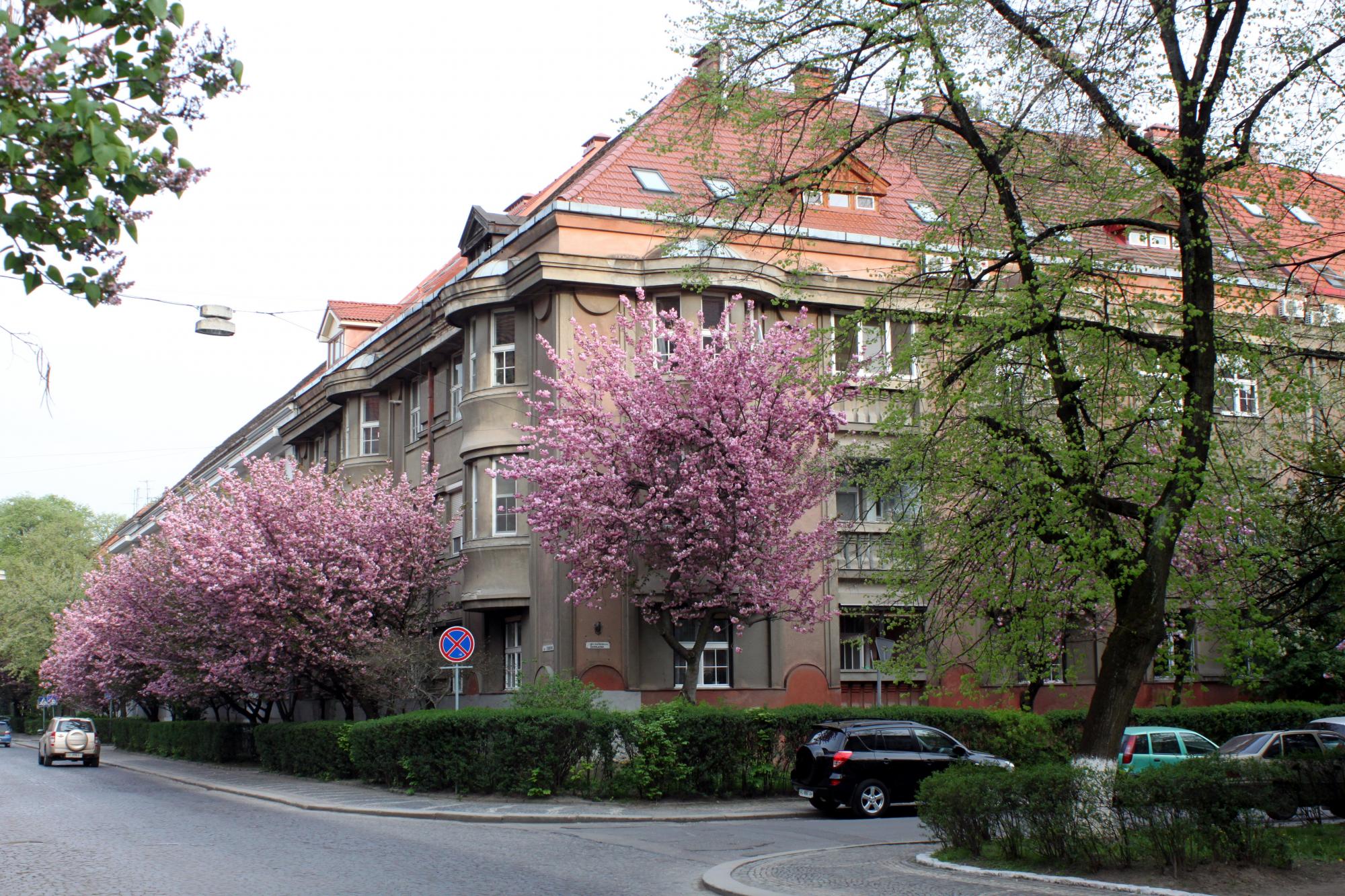 Цены, сервис и тесты на COVID: что нужно знать об отдыхе в санаториях Украины