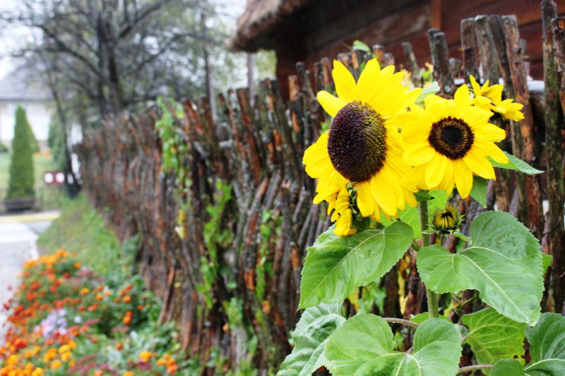 Идеальный маршрут на уикенд: локации Львовской области для знакомства с регионом