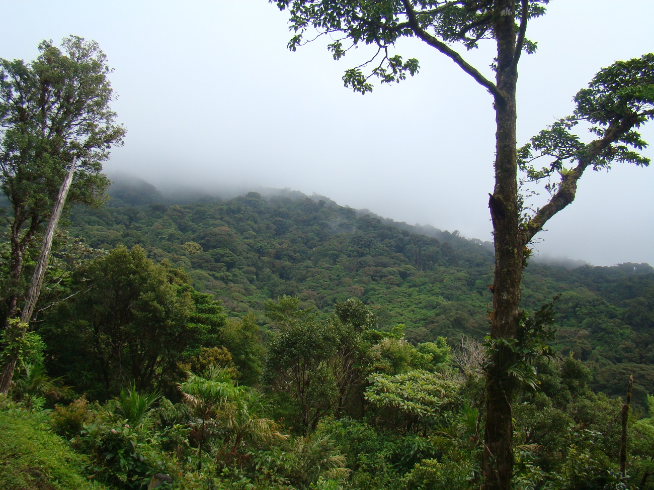В гущавині тропічних лісів: як я побував в одному з найунікальніших природних парків світу