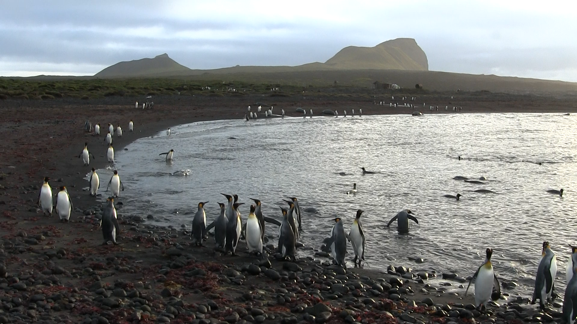 &quot;Пронизывающий холод&quot;: как я жил на диком острове под вулканом и ледниками