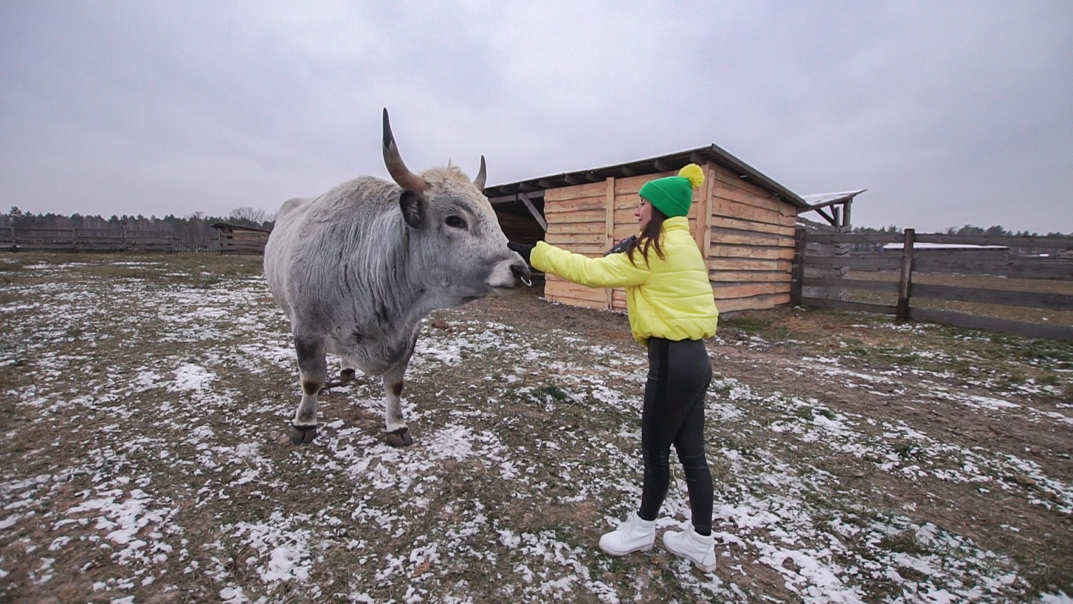 Парк природи та милі тварини: кращі локації для зимових подорожей з дітьми