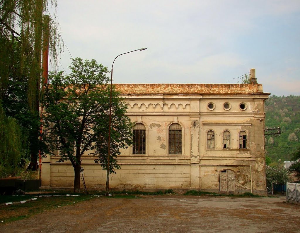 "Город-остров": что посмотреть в одной из самых интересных локаций Тернопольщины