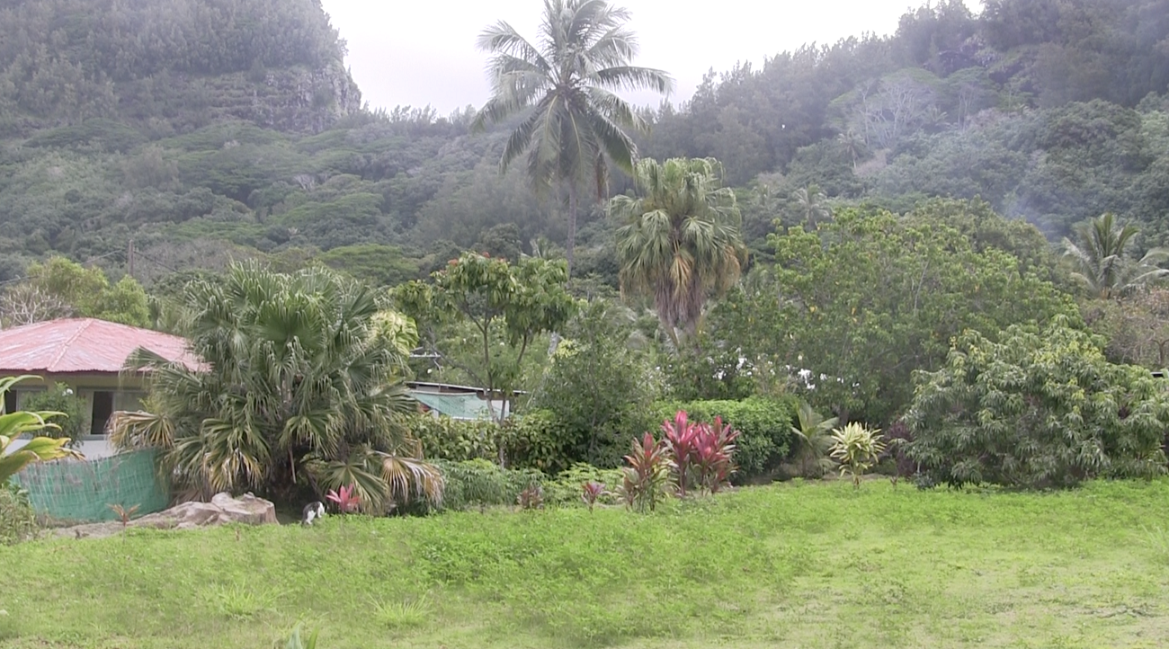 Безлюдний кораловий атол: як я побував в особливому місці Тихого океану