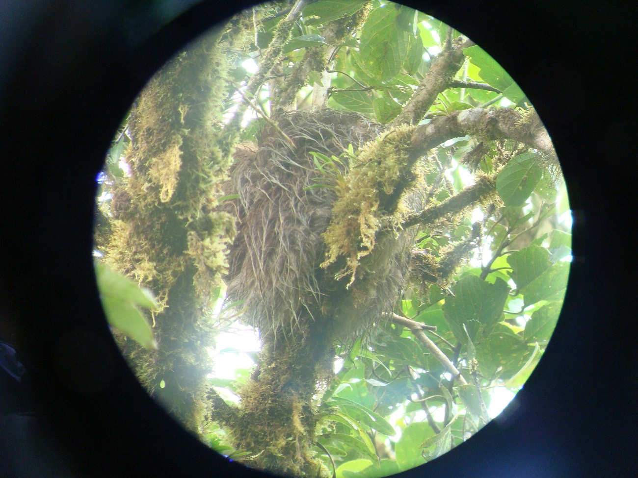 В гущавині тропічних лісів: як я побував в одному з найунікальніших природних парків світу