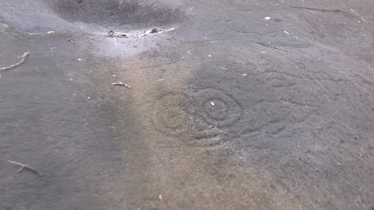 День в раю: как мы побывали на самом отдаленном острове Французской Полинезии