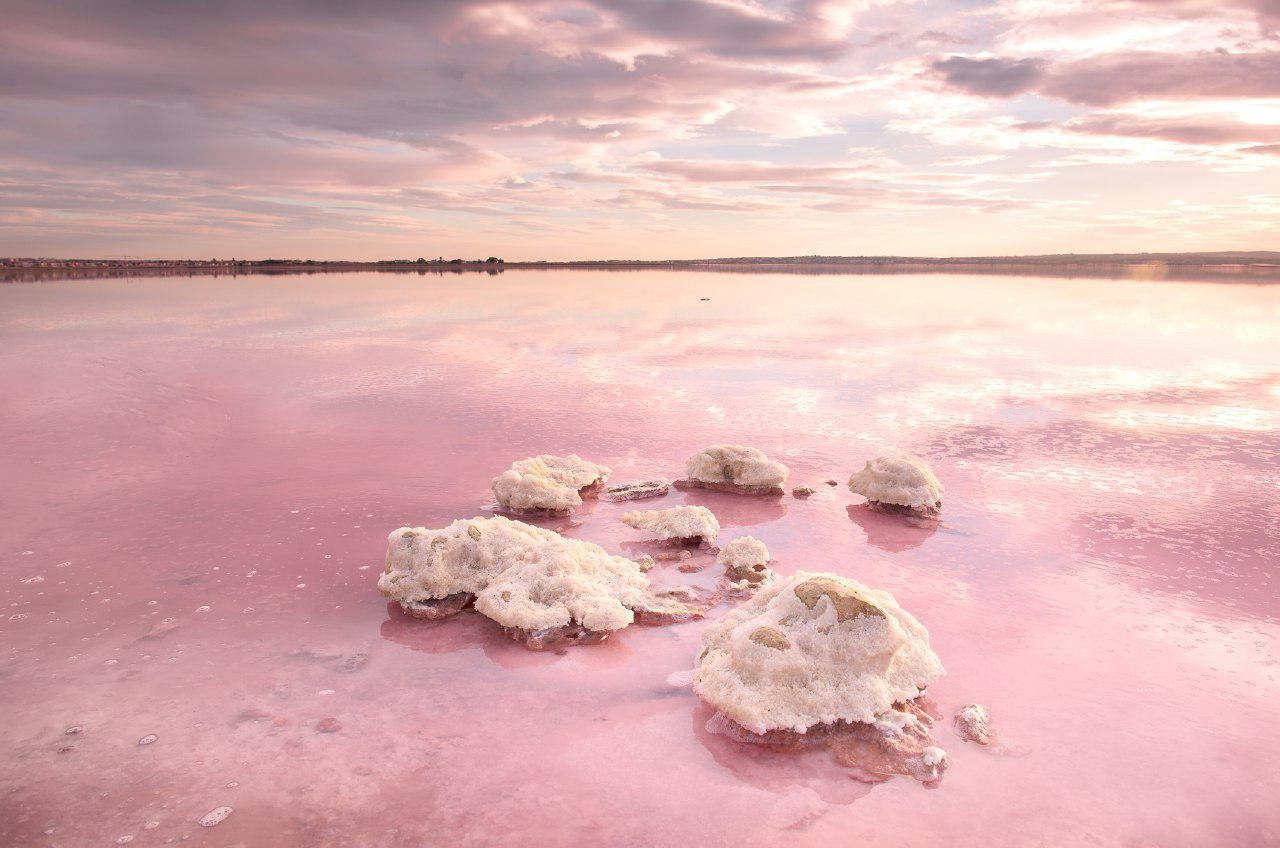 &quot;Заграничные&quot; чудеса в Украине: пять розовых озер, которые поражают красотой
