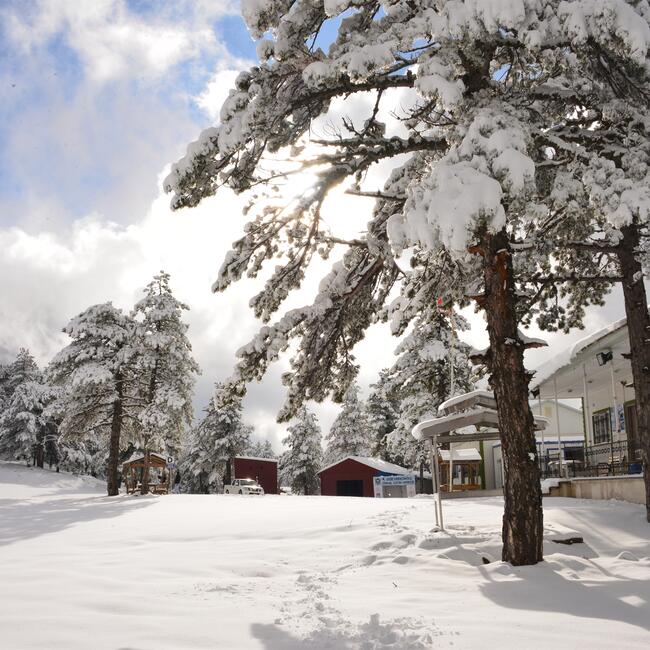 Лижі і термальні джерела: новий курорт Туреччини готовий до приїзду туристів