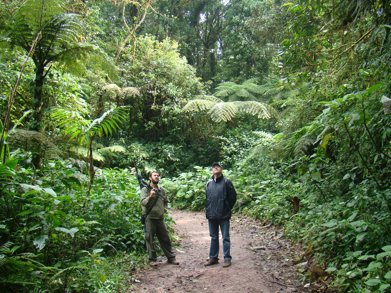 В гущавині тропічних лісів: як я побував в одному з найунікальніших природних парків світу