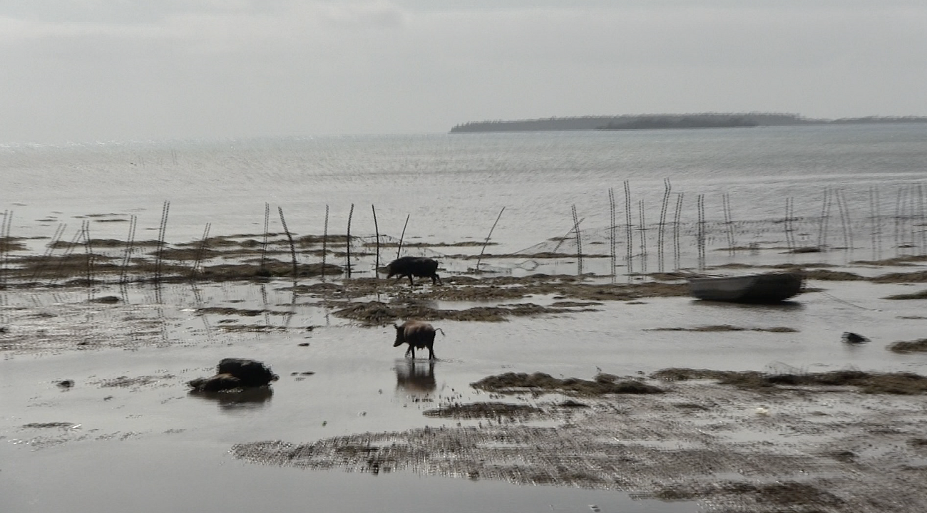 Свой &quot;Стоунхендж&quot; и необычные традиции: чем удивляет путешественников остров в Тихом океане