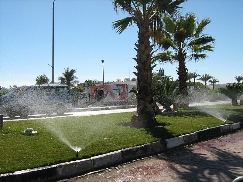 Сорокаградусна спека і сильний вітер: туристів попередили про зміни погоди в Єгипті