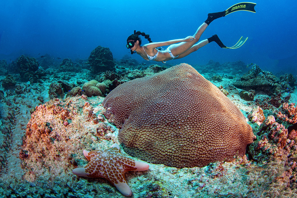 &quot;Русалка&quot; на экзотических островах: туристов на известном курорте удивила девушка с хвостом