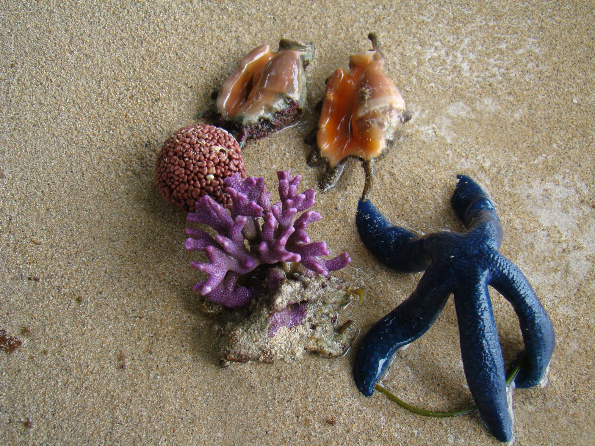 На край землі: важкодоступні острови, Океанія і Антарктика очима українця