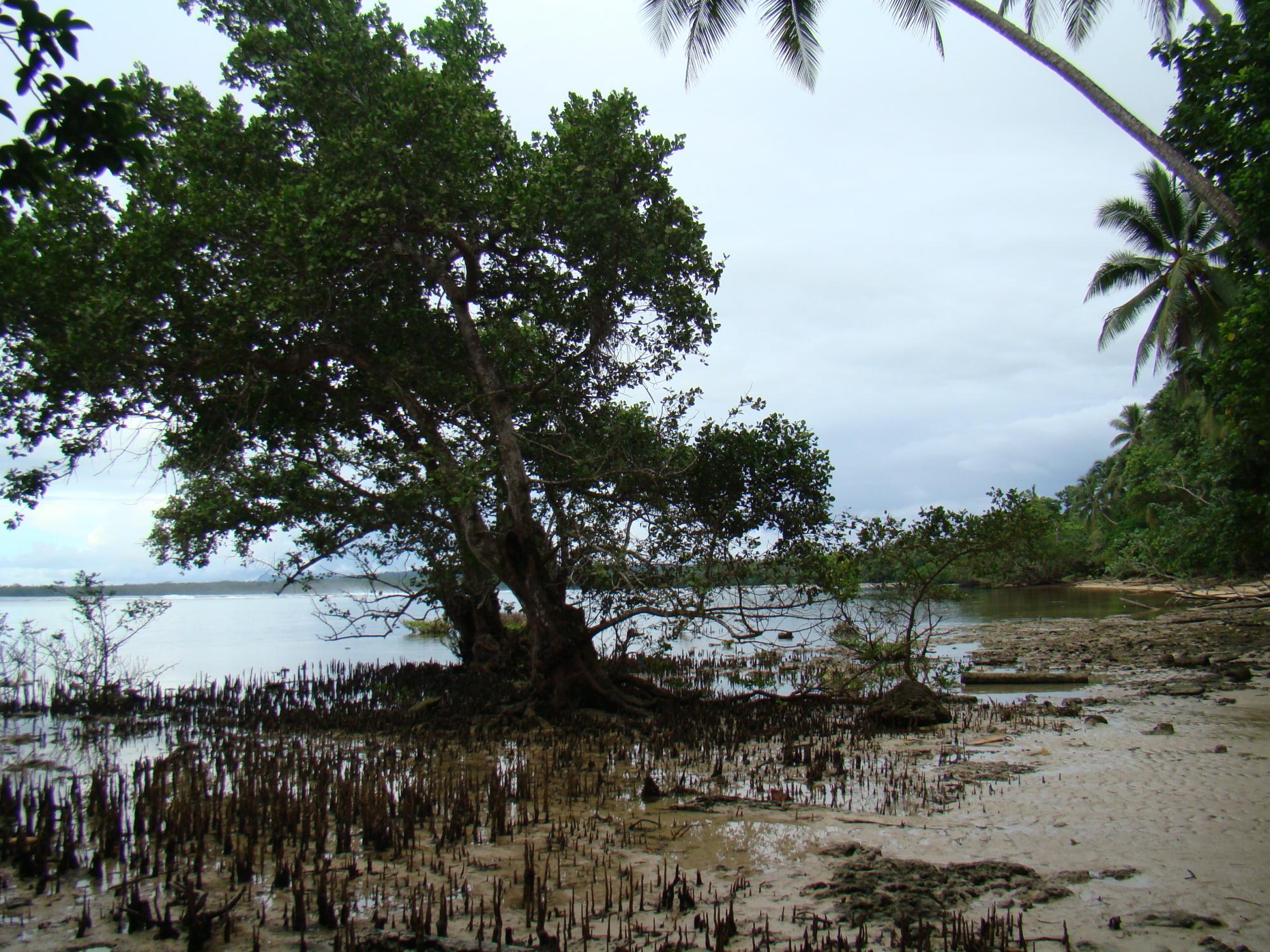 На край земли: труднодоступные острова, Океания и Антарктика глазами украинца