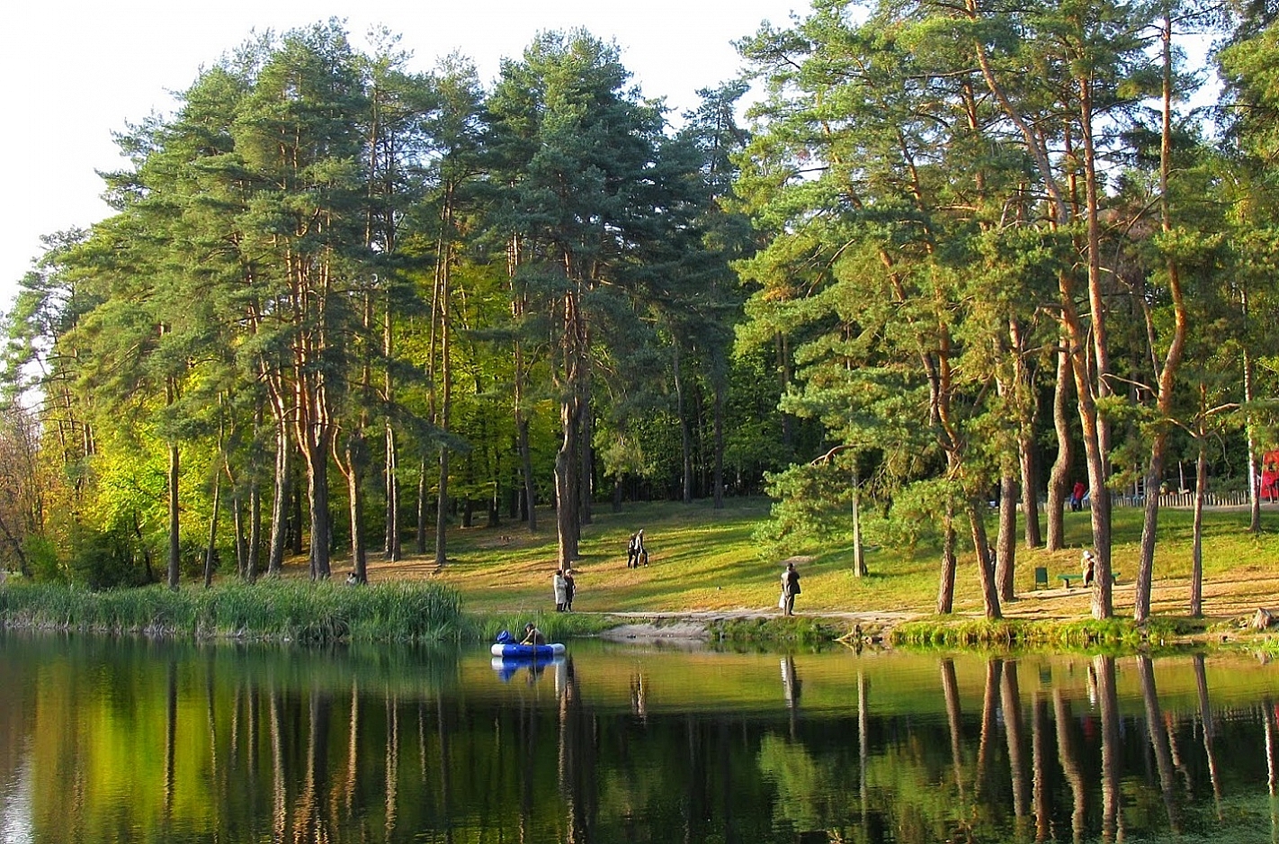 парки в киеве для