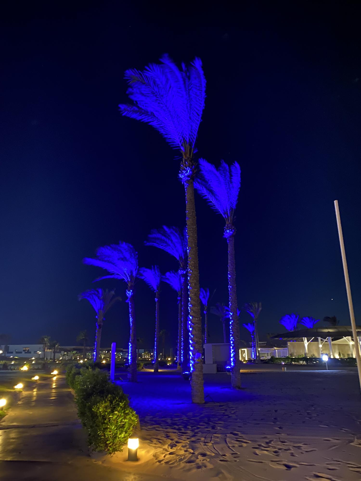 Нестандартный Египет: как отдохнуть в стране летом вместо привычного &quot;все включено&quot;