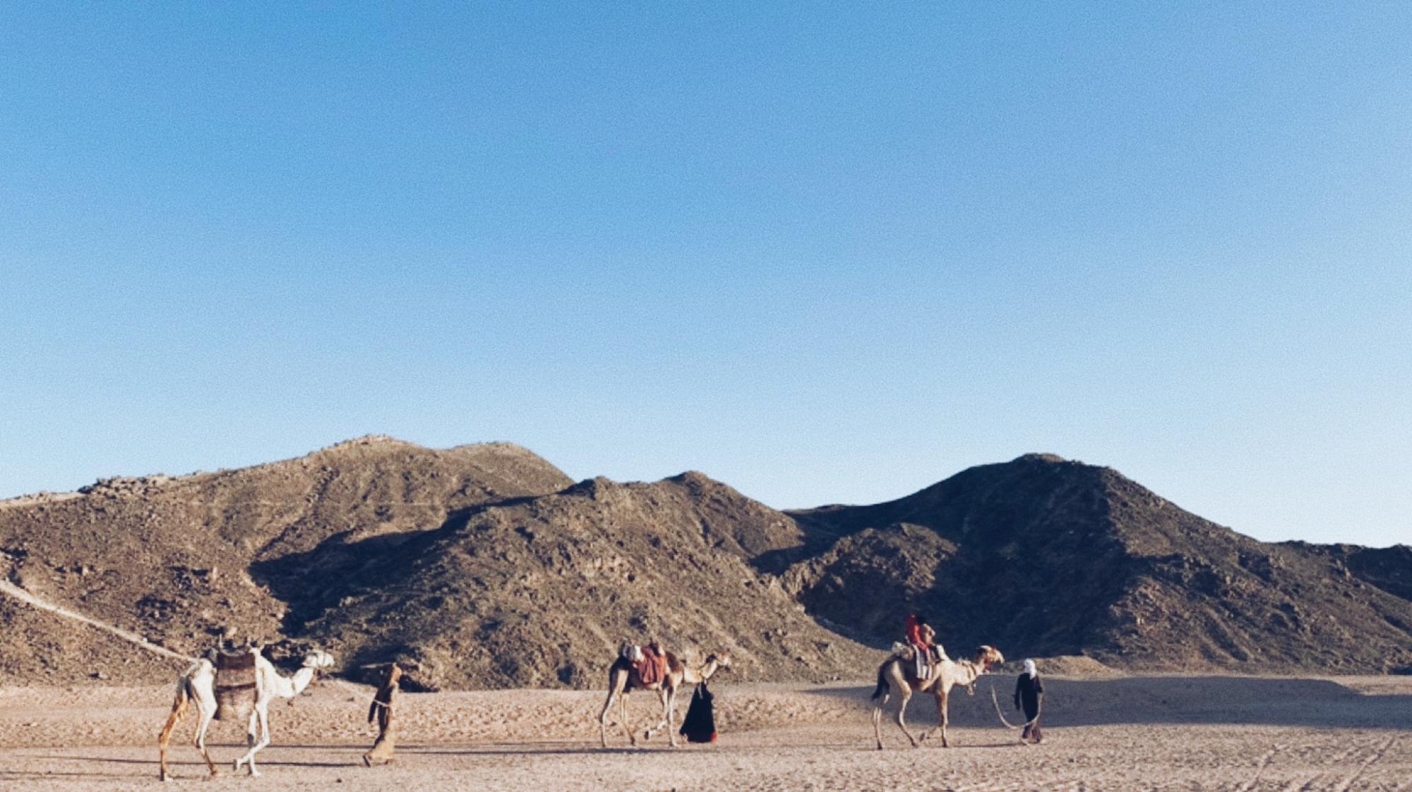 Нестандартный Египет: как отдохнуть в стране летом вместо привычного &quot;все включено&quot;