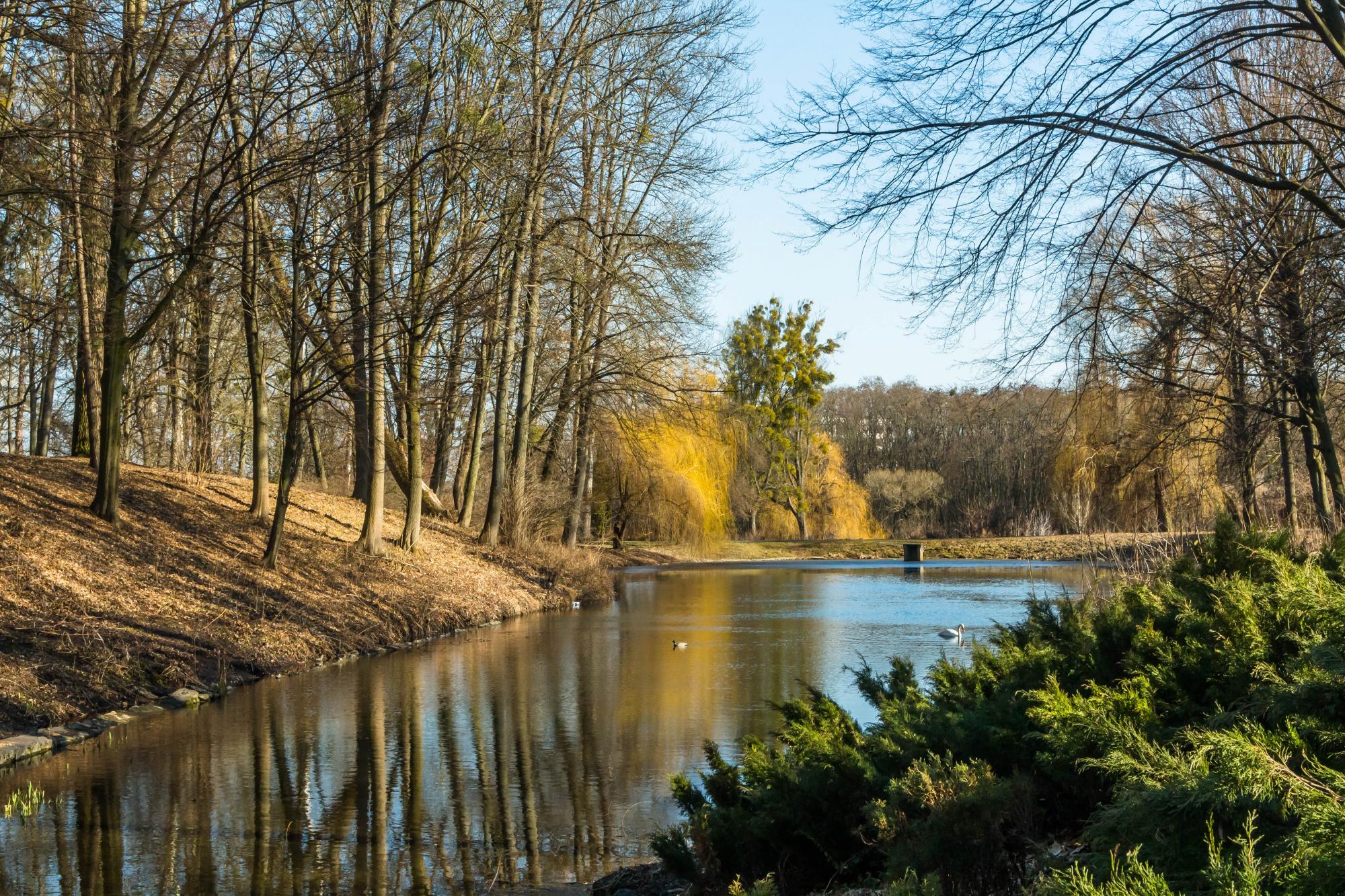 Маршрут вихідного дня: яскраві локації неподалік від Києва для подорожі автомобілем