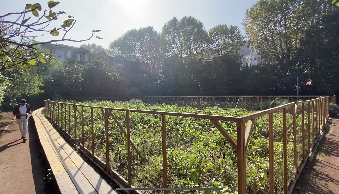 Острови, панорами і богемний район: що подивитися досвідченому туристу в Стамбулі