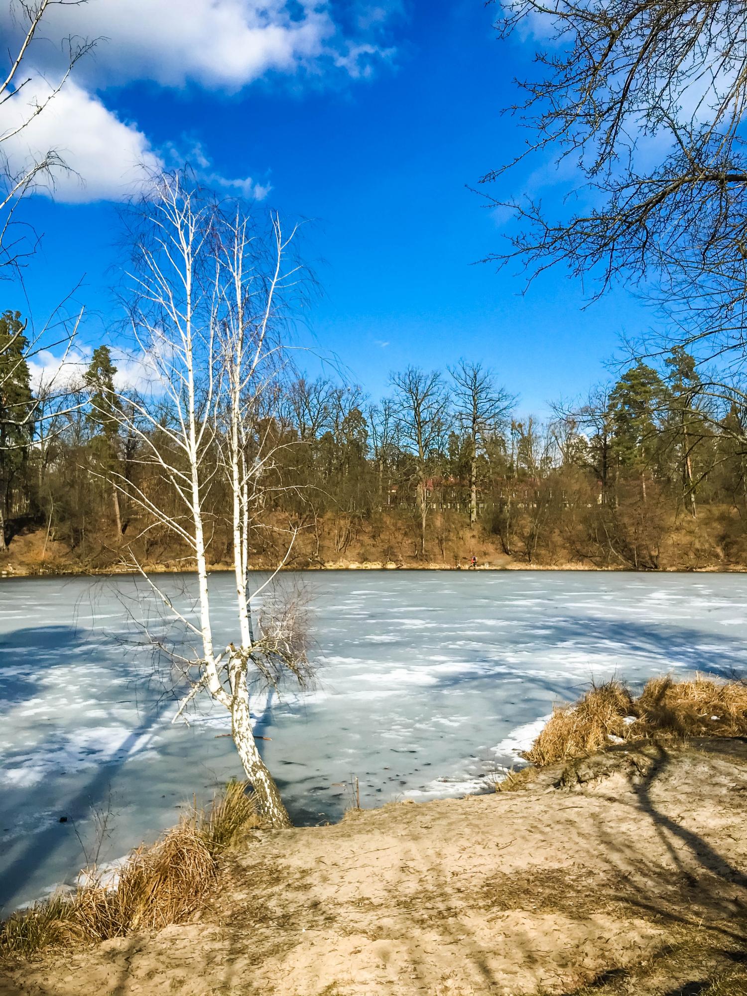 Маршрут вихідного дня: яскраві локації неподалік від Києва для подорожі автомобілем