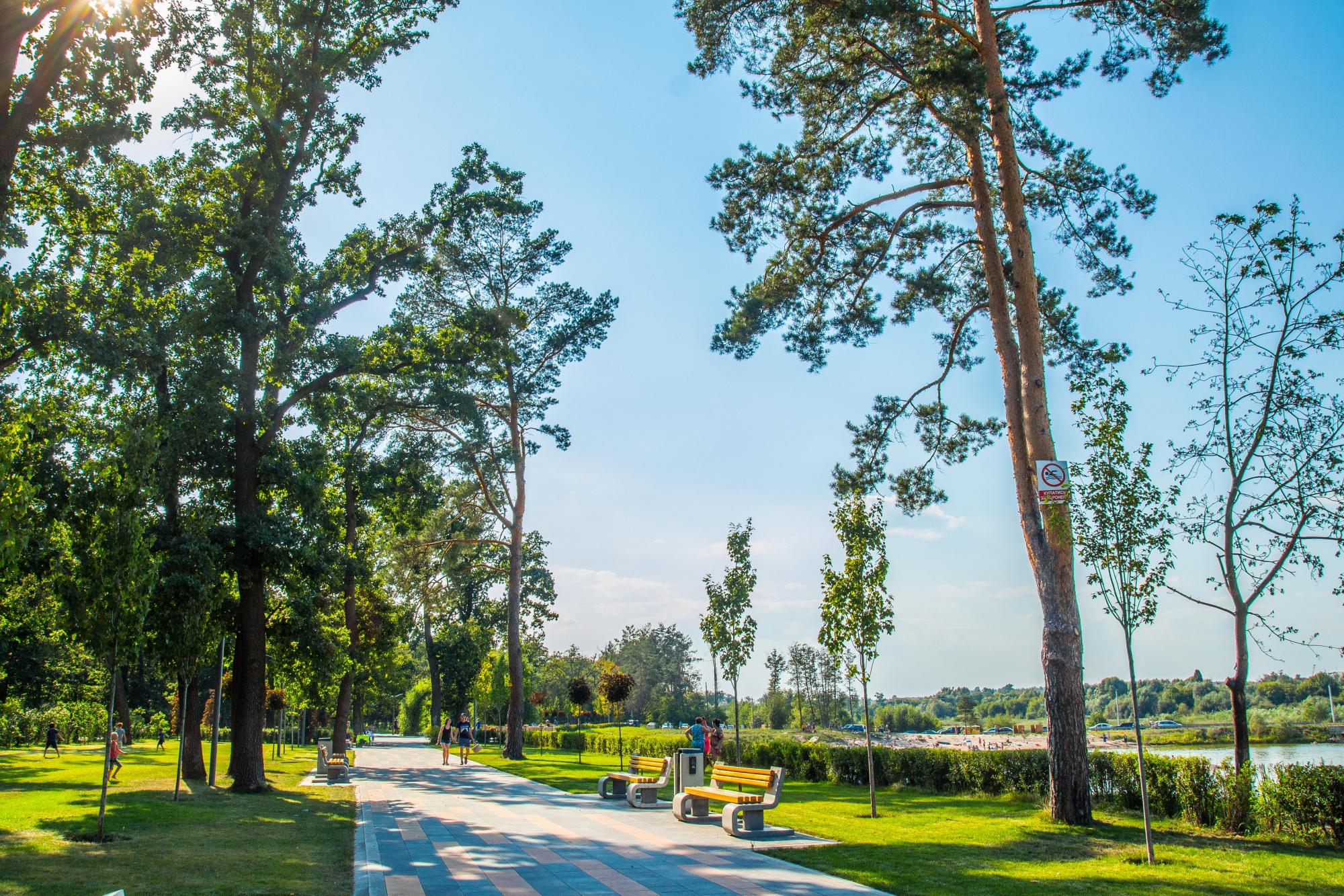 Маршрут вихідного дня: яскраві локації неподалік від Києва для подорожі автомобілем