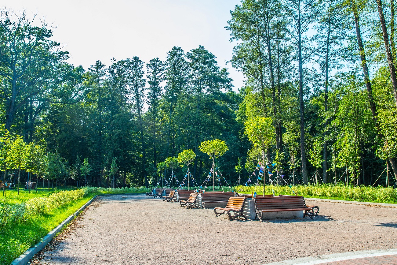 Маршрут вихідного дня: яскраві локації неподалік від Києва для подорожі автомобілем