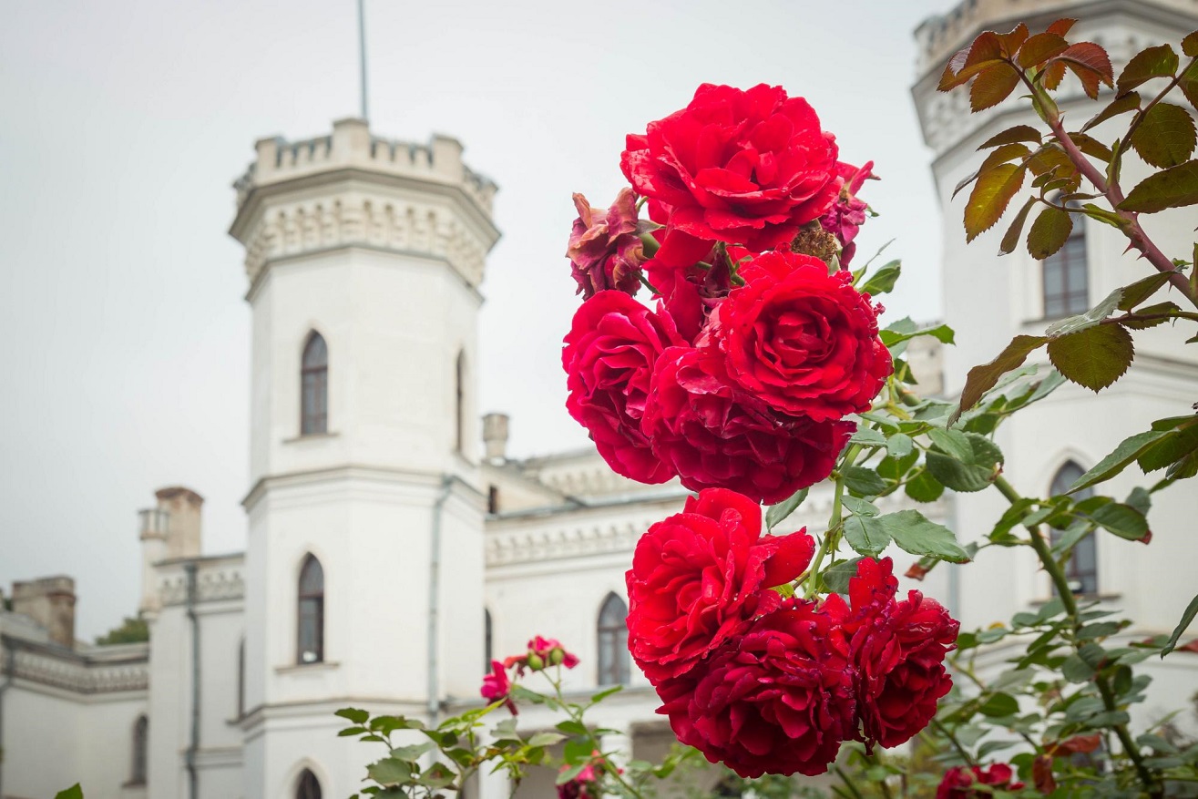 Розкіш та дух історії: найкрасивіші палаци України для весняного вікенду