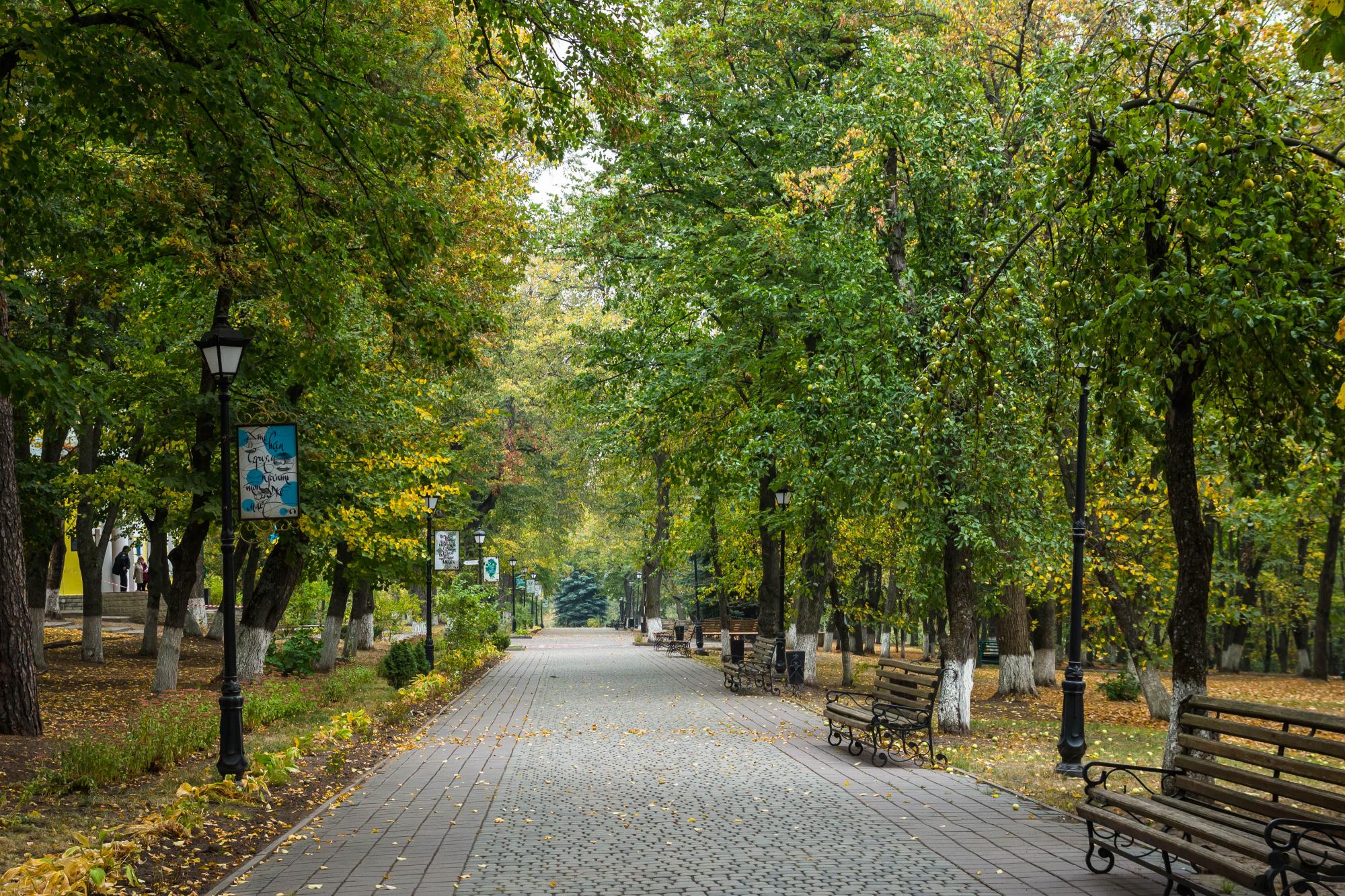 Український "Лувр", палац та дендропарк: три кращих маршрути по Харківській області для знайомства з регіоном