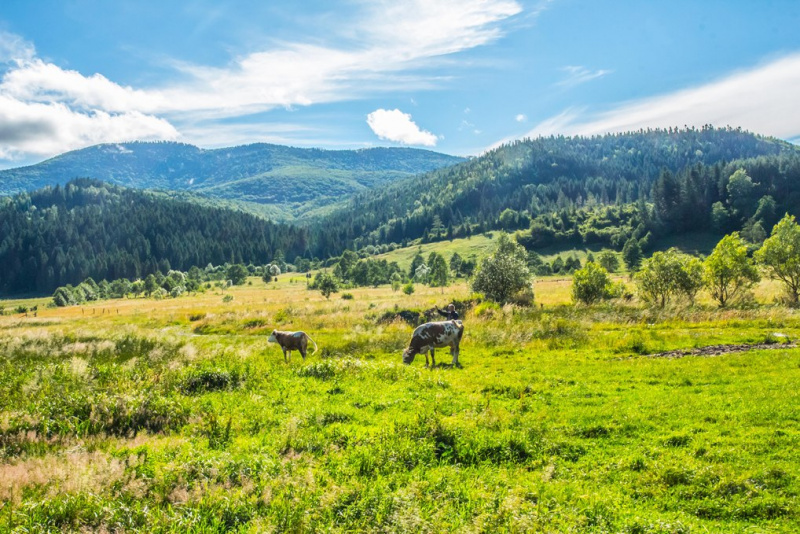Моршин и Карпатский трамвай: локации для семейной поездки, которые вас удивят